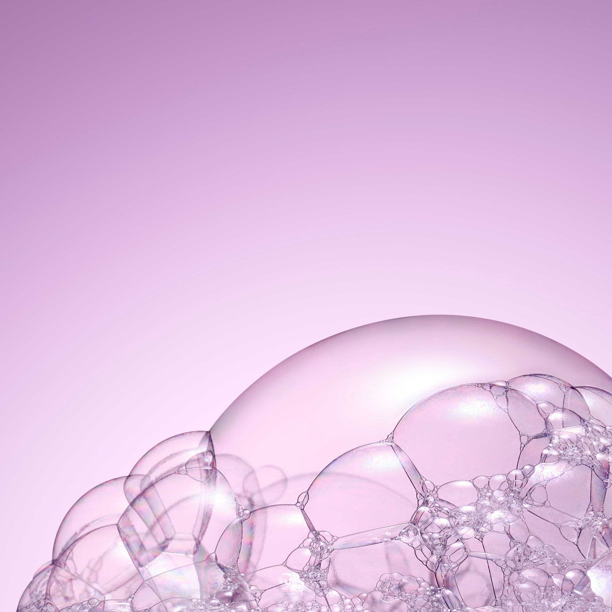 Le Shampooing Brillance Miroir - NUXE