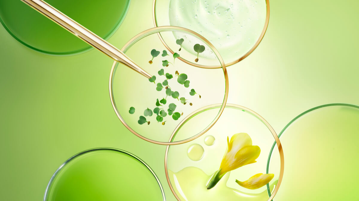 ingrédients et pipette