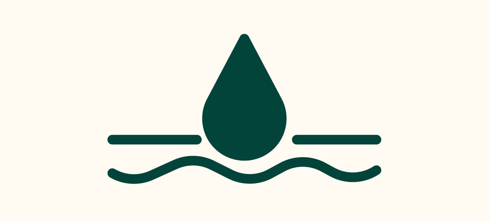 ACIDE POLYGLUTAMIQUE